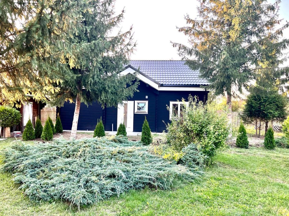 Vila Scandinavia Marosszentgyörgy Kültér fotó
